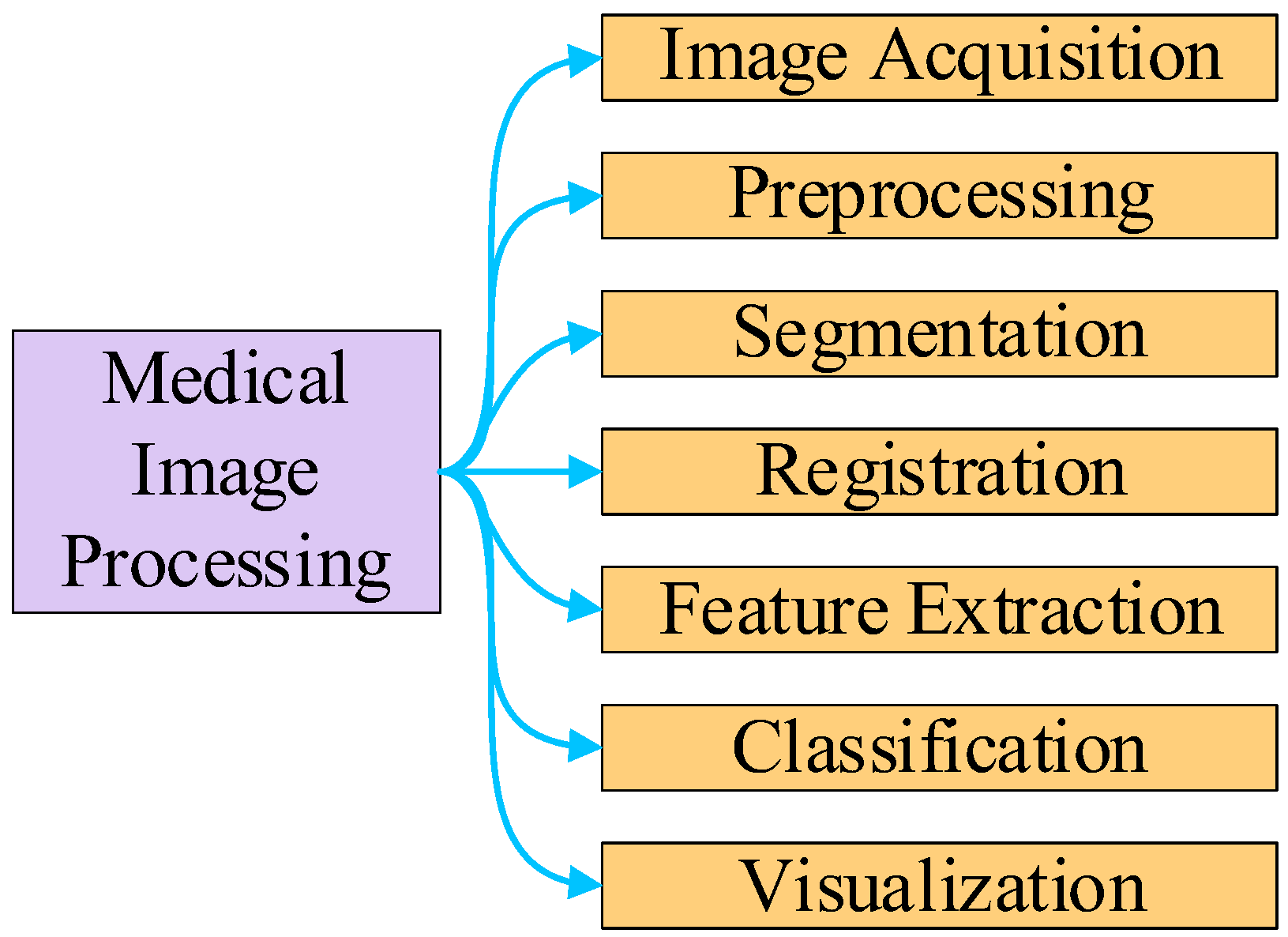 Technologies  Free FullText  Medical Imaging and Image Processing