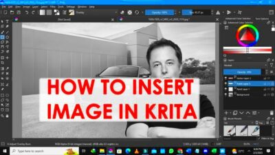 How To add Image in Krita in 2023  Krita Insert image Alpha 8