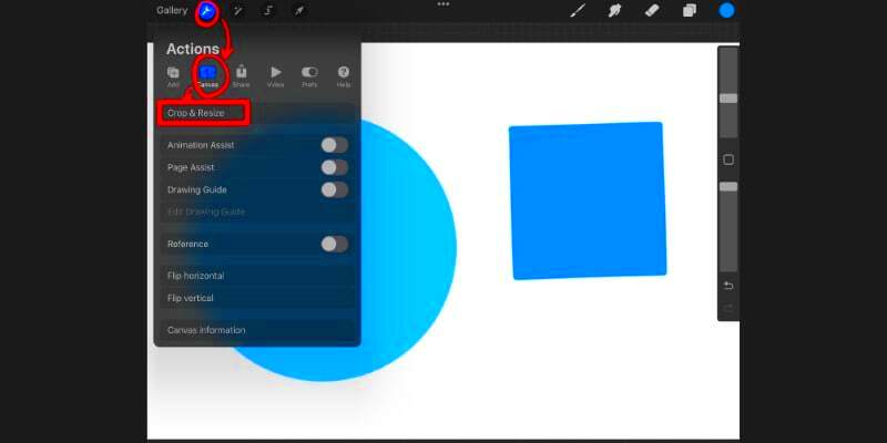 How to Crop in Procreate Easily With Example Images