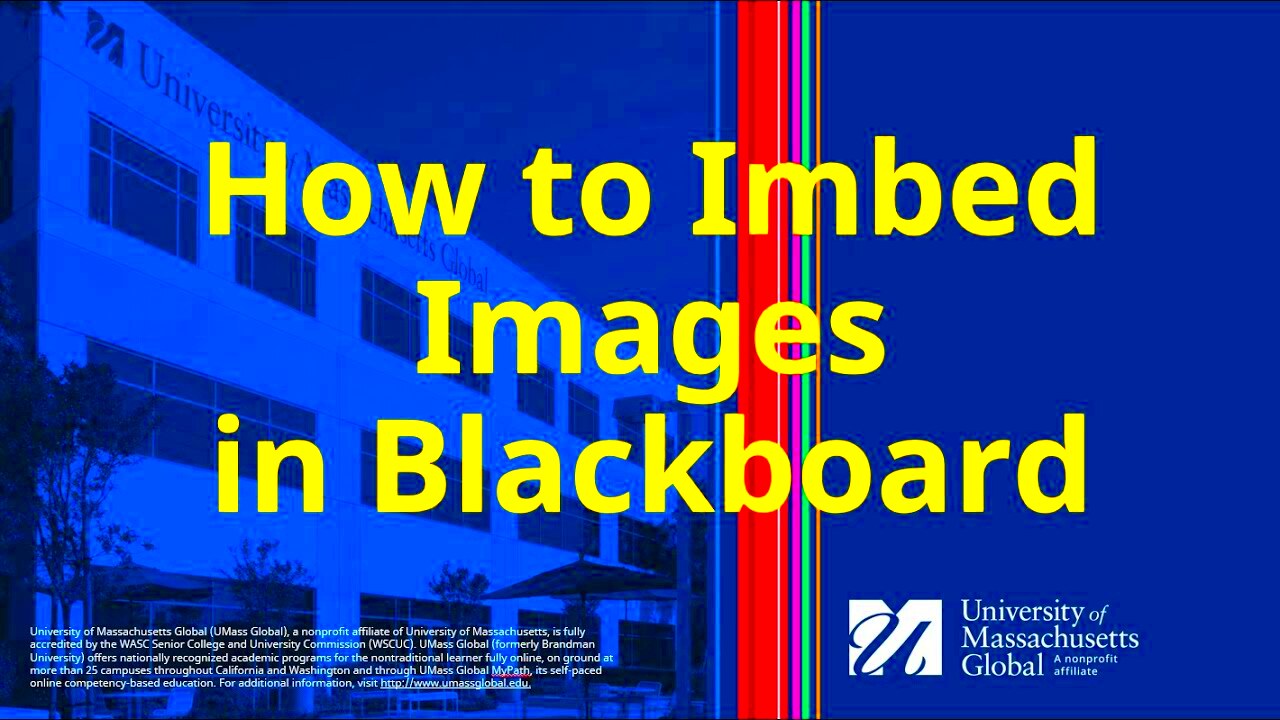 Insert Images into Discussion Board in Blackboard  YouTube