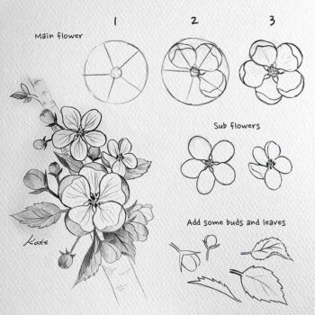 Easy How to Draw Flowers StepbyStep Tutorials  Beautiful Dawn