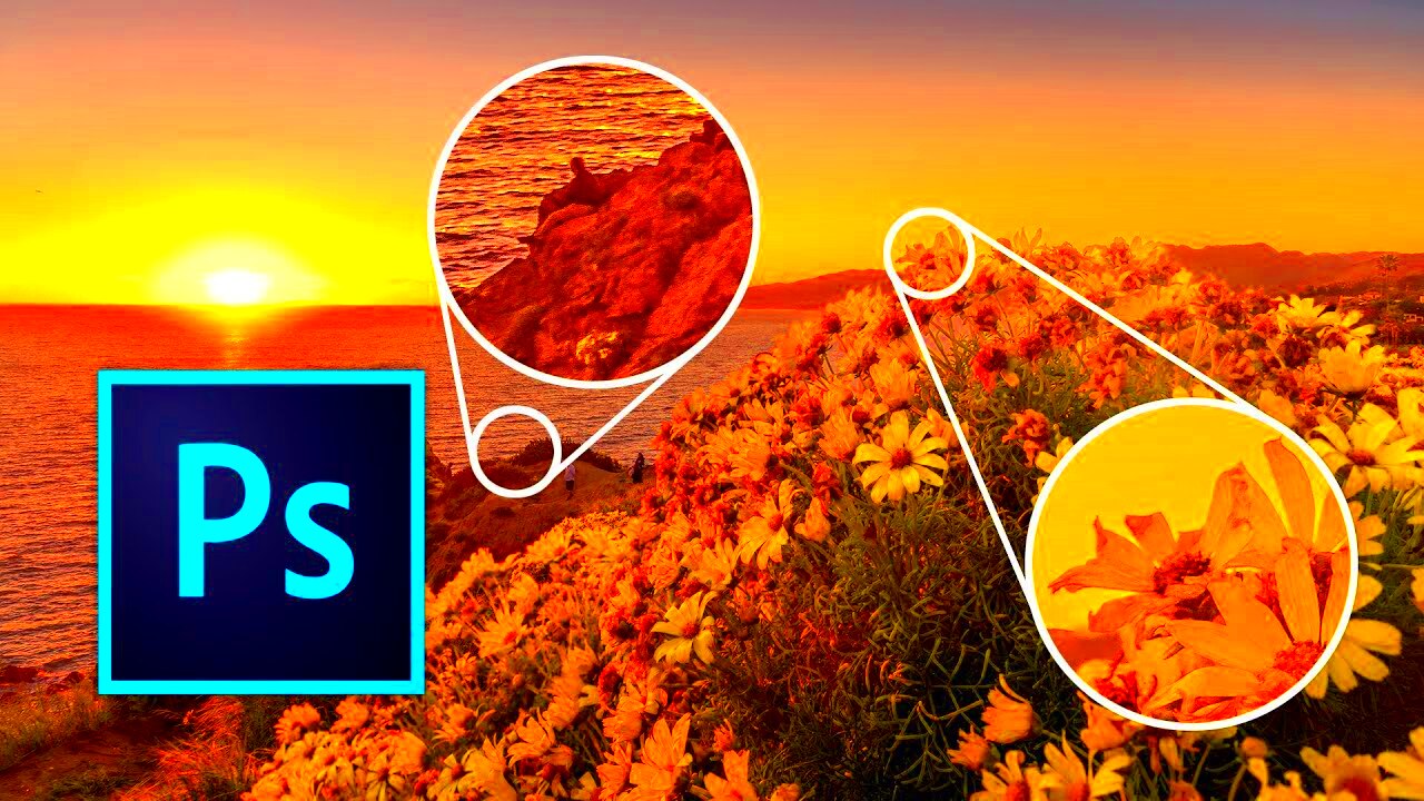 Beginner tutorial Focus Stacking in Photoshop CC 2019  Photoshop Trend