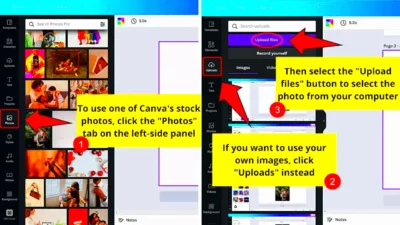 How to Cut Out an Image in Canva  Like a Pro