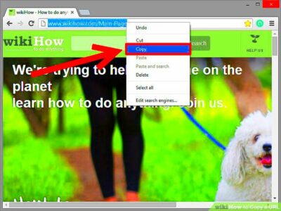 How to Copy a URL 8 Steps with Pictures  wikiHow