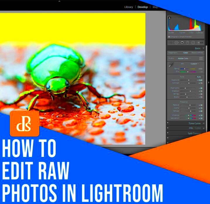 Editing RAW Photos in Lightroom 5 Essential Tips