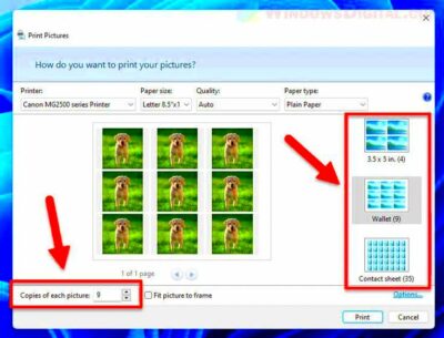 How to Print Multiple Photos on One Page in Windows 11  Print pictures