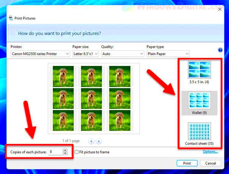 How to Print Multiple Photos on One Page in Windows 11  Print pictures