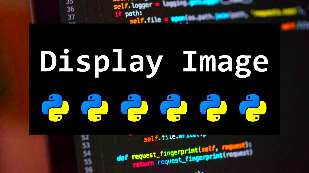 HOW TO DISPLAY AN IMAGE FOR BEGINNERS IN PYTHON   YouTube