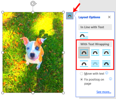 How to Overlay Images in Microsoft Word