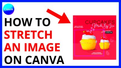 How to Stretch an Image in Canva  YouTube