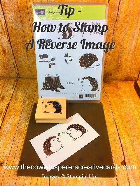 How to Get a Reverse Image from a Stamp Tutorial