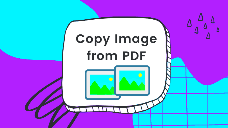 How to Copy Image from PDF Quickly Easiest Way Here  UPDF