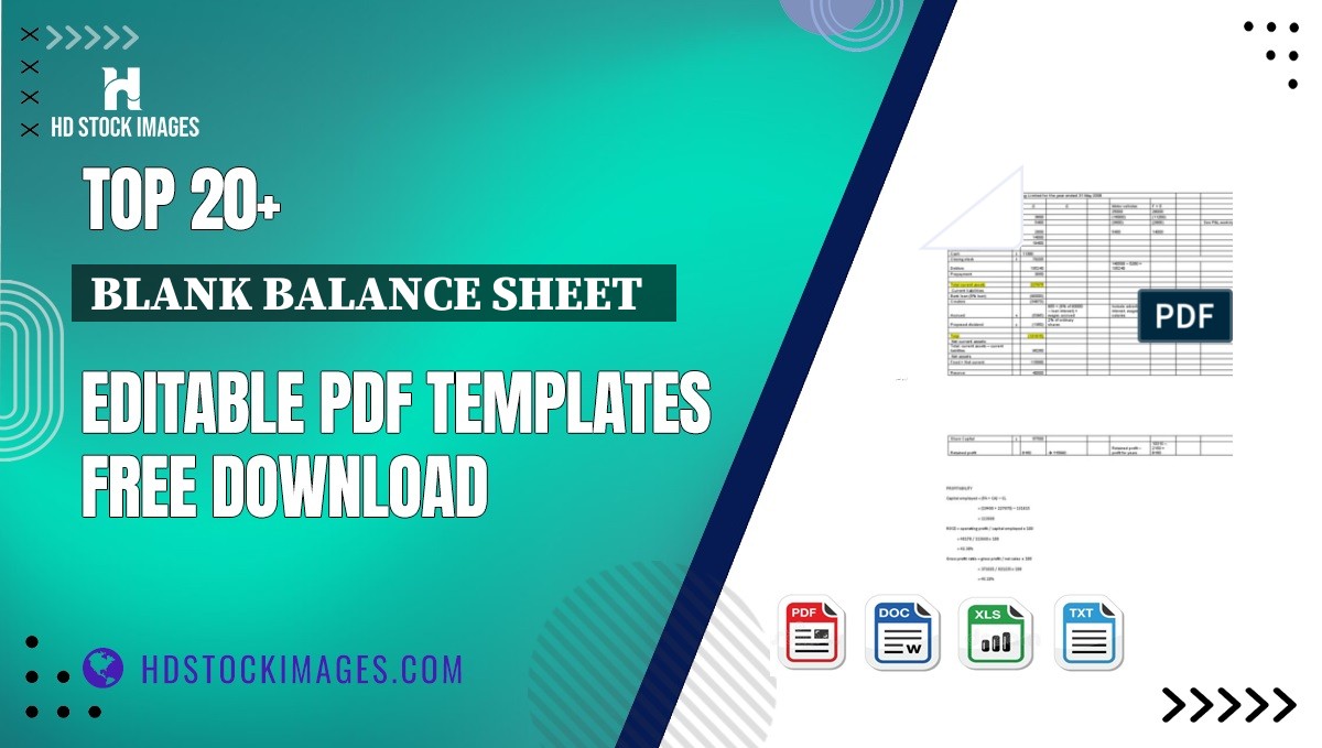 Top 20+ Blank Balance Sheet   Editable PDF Templates Free Download