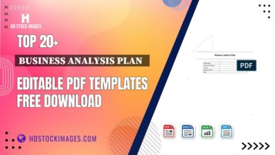 Top 20+ Business Analysis Plan   Editable PDF Templates Free Download