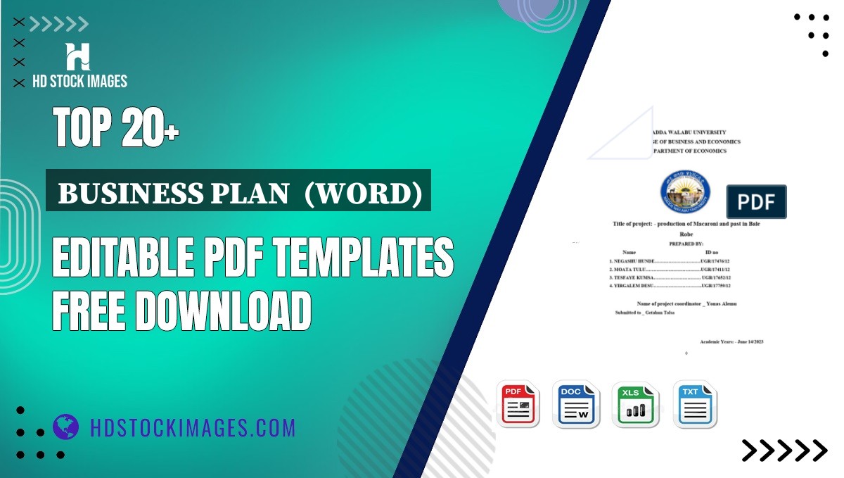 Top 20+ Business Plan  (word) Editable PDF Templates Free Download