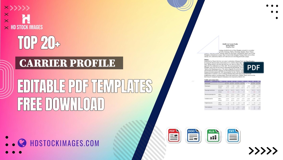 Top 20+ Carrier Profile   Editable PDF Templates Free Download