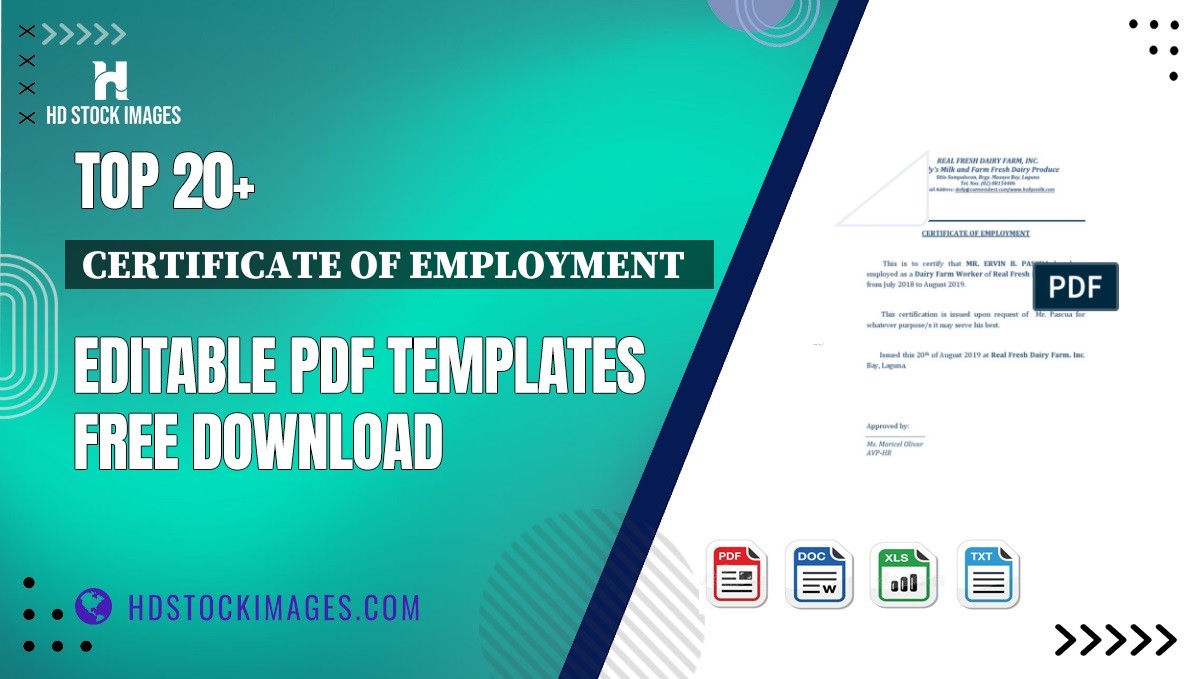 Top 20+ Certificate Of Employment   Editable PDF Templates Free Download