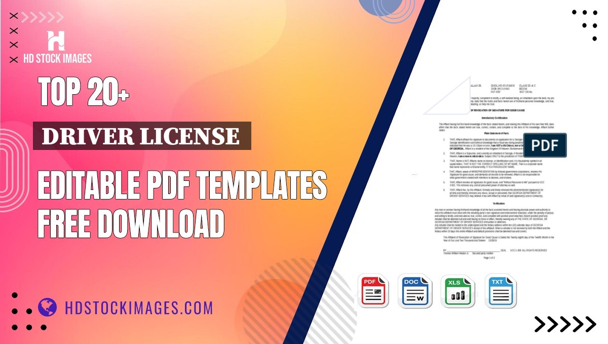 Top 20+ Driver License  Editable PDF Templates Free Download