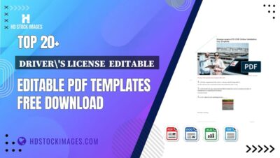 Top 20+ Driver's License  Editable  Editable PDF Templates Free Download