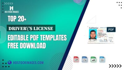 Top 20+ Driver's License  Editable PDF Templates Free Download