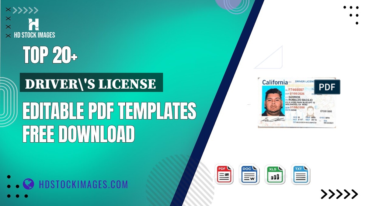 Top 20+ Driver's License  Editable PDF Templates Free Download