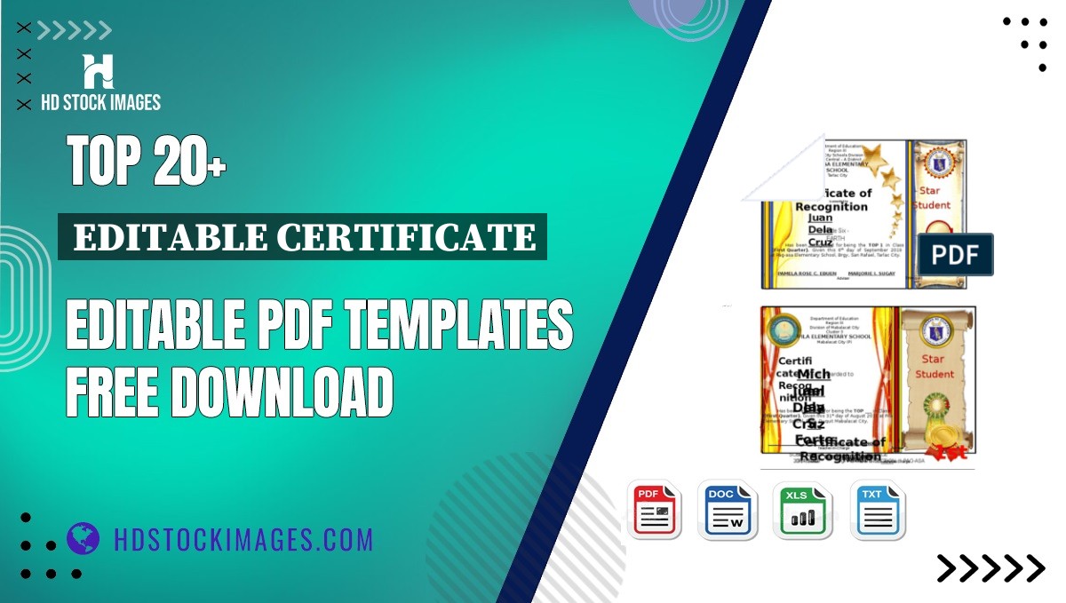 Top 20+ Editable Certificate Editable PDF Templates Free Download