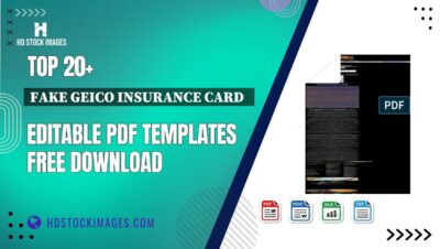 Top 20+ Fake Geico Insurance Card   Editable PDF Templates Free Download