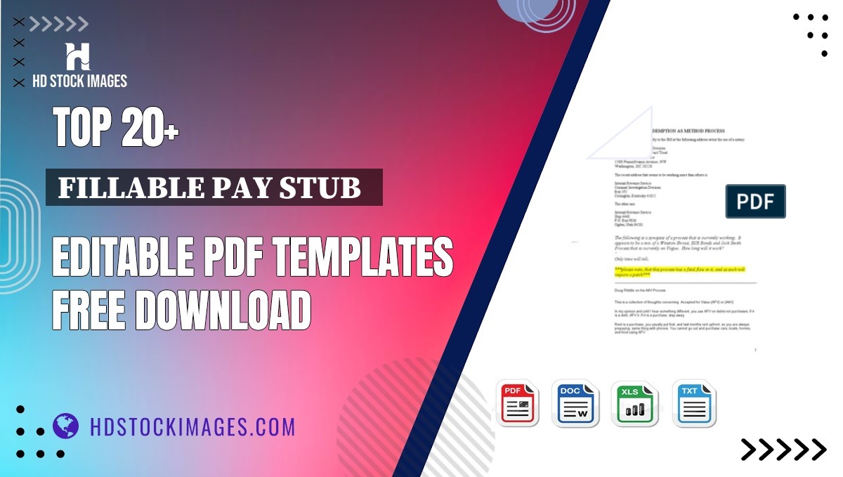 Top 20+ Fillable Pay Stub   Editable PDF Templates Free Download