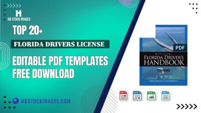 Top 20+ Florida Drivers License   Editable PDF Templates Free Download