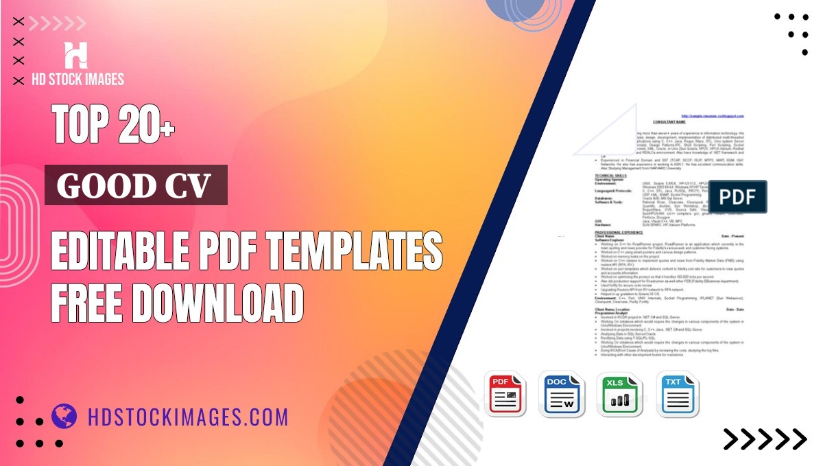 Top 20+ Good Cv  Editable PDF Templates Free Download