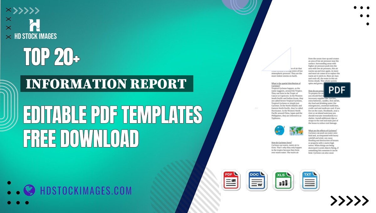 Top 20+ Information Report  Editable PDF Templates Free Download