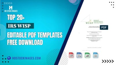 Top 20+ Irs Wisp   Editable PDF Templates Free Download