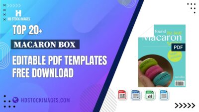 Top 20+ Macaron Box  Editable PDF Templates Free Download