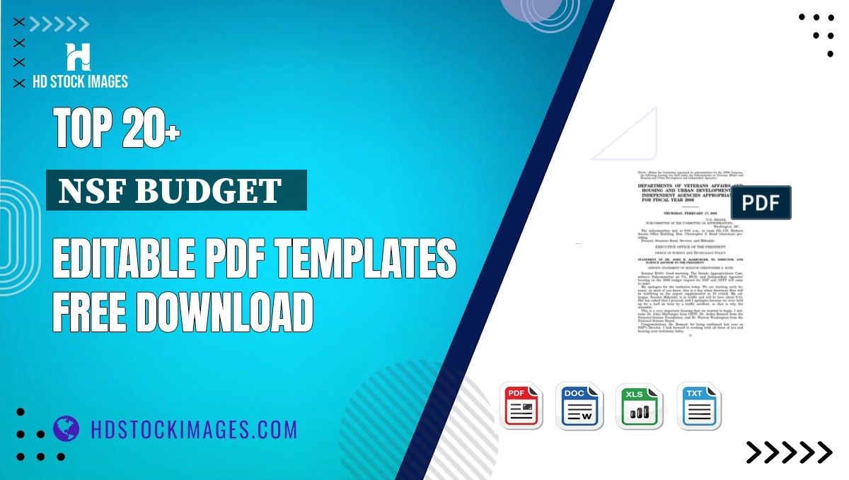 Top 20+ Nsf Budget   Editable PDF Templates Free Download