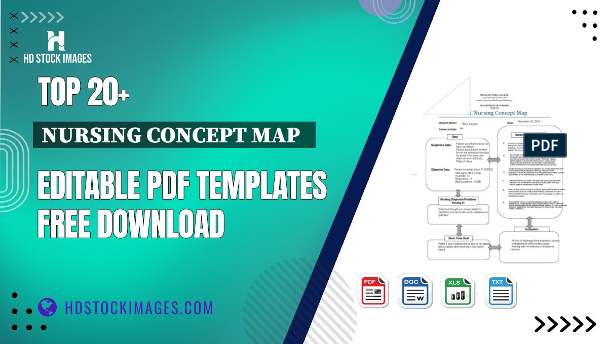 Top 20+ Nursing Concept Map   Editable PDF Templates Free Download