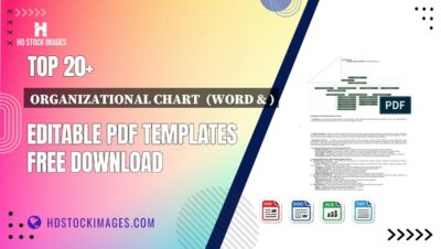 Top 20+ Organizational Chart  (word & ) Editable PDF Templates Free Download