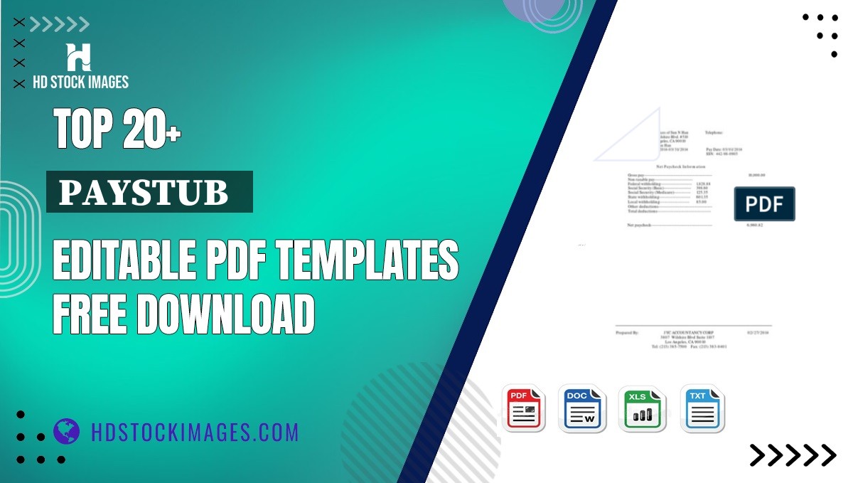 Top 20+ Paystub   Editable PDF Templates Free Download