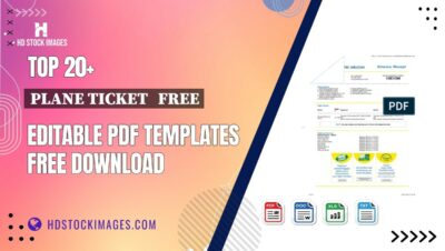 Top 20+ Plane Ticket   Free Editable PDF Templates Free Download