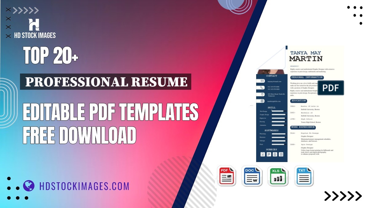 Top 20+ Professional Resume Editable PDF Templates Free Download