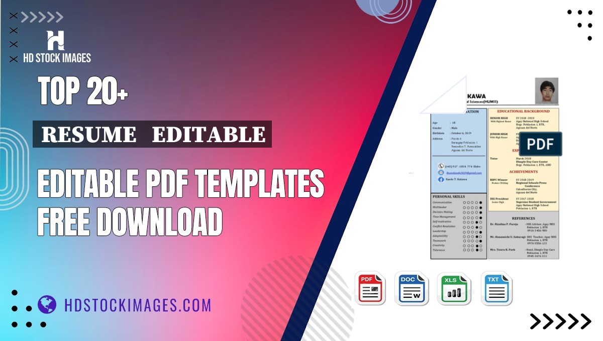 Top 20+ Resume   Editable Editable PDF Templates Free Download