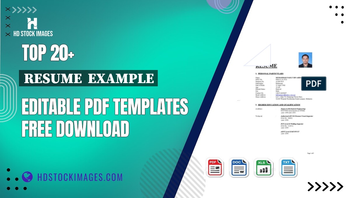 Top 20+ Resume  Example Editable PDF Templates Free Download