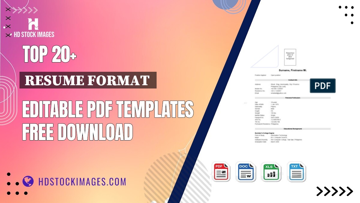 Top 20+ Resume Format  Editable PDF Templates Free Download