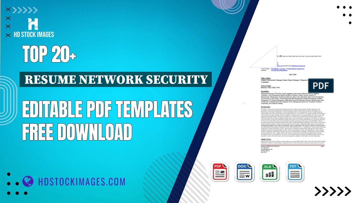 Top 20+ Resume Network Security Editable PDF Templates Free Download