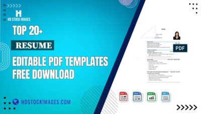Top 20+ Resume Editable PDF Templates Free Download
