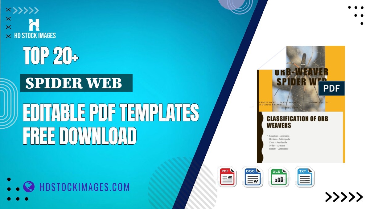 Top 20+ Spider Web   Editable PDF Templates Free Download