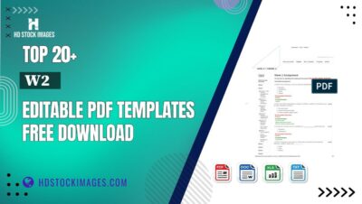 Top 20+ W2 Editable PDF Templates Free Download
