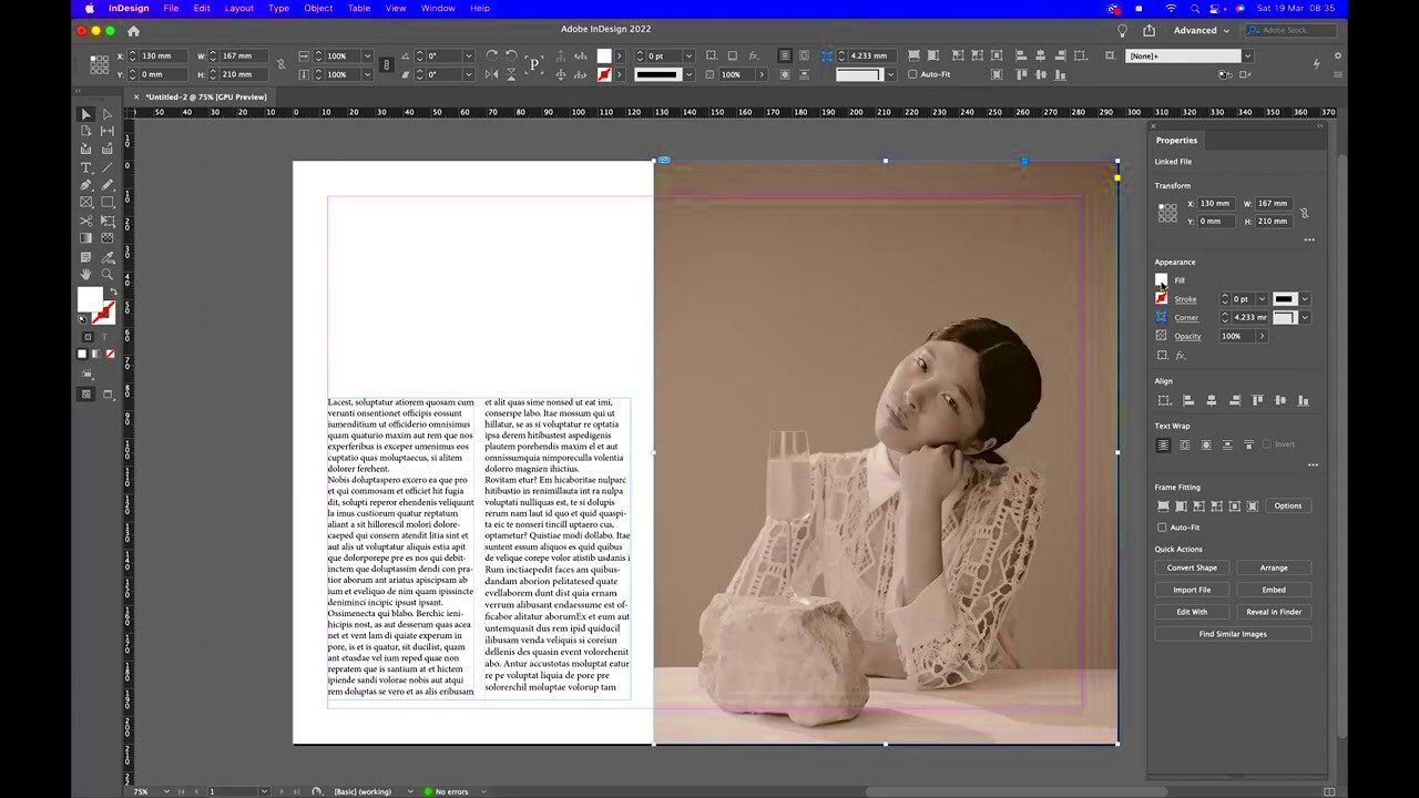 How to make image black and white  Adobe InDesign  YouTube